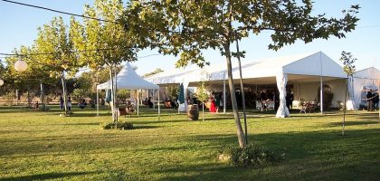 Miniatura del artículo