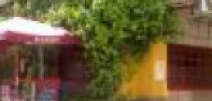 Miniatura del artículo