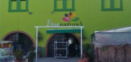 Miniatura del artículo