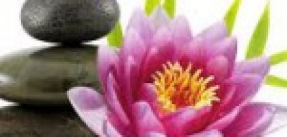 Miniatura del artículo