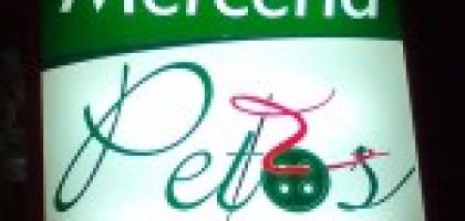 Miniatura del artículo