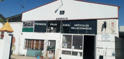 Miniatura del artículo