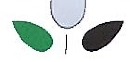 Miniatura del artículo