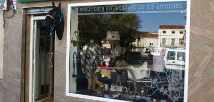 Miniatura del artículo