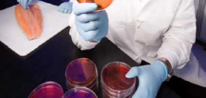 Miniatura del artículo