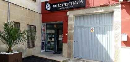 Miniatura del artículo