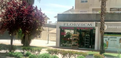 Miniatura del artículo