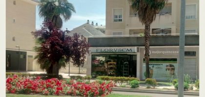 Miniatura del artículo