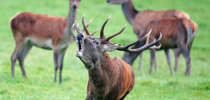 Miniatura del artículo