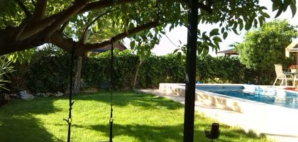 Miniatura del artículo