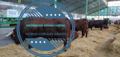 Miniatura del artículo