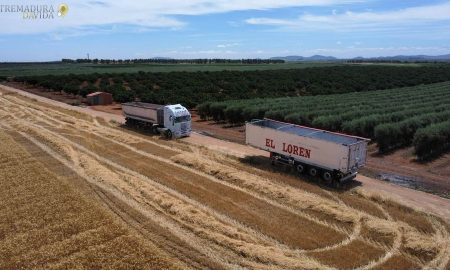Transportes en Extremadura El Loren Mérida