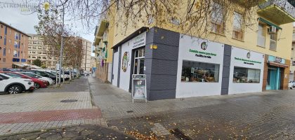 Miniatura del artículo