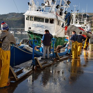 Distribuidor de Pescado y Marisco Pescanoex