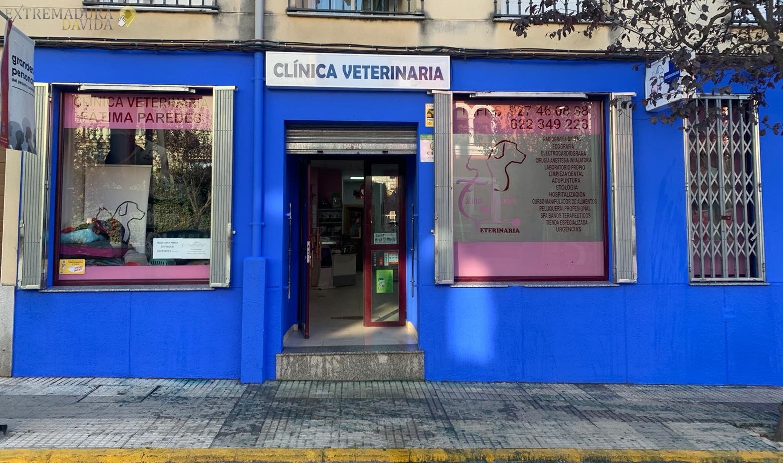 Clinica veterinararía en la Vera Fatima Paredes Jaraiz
