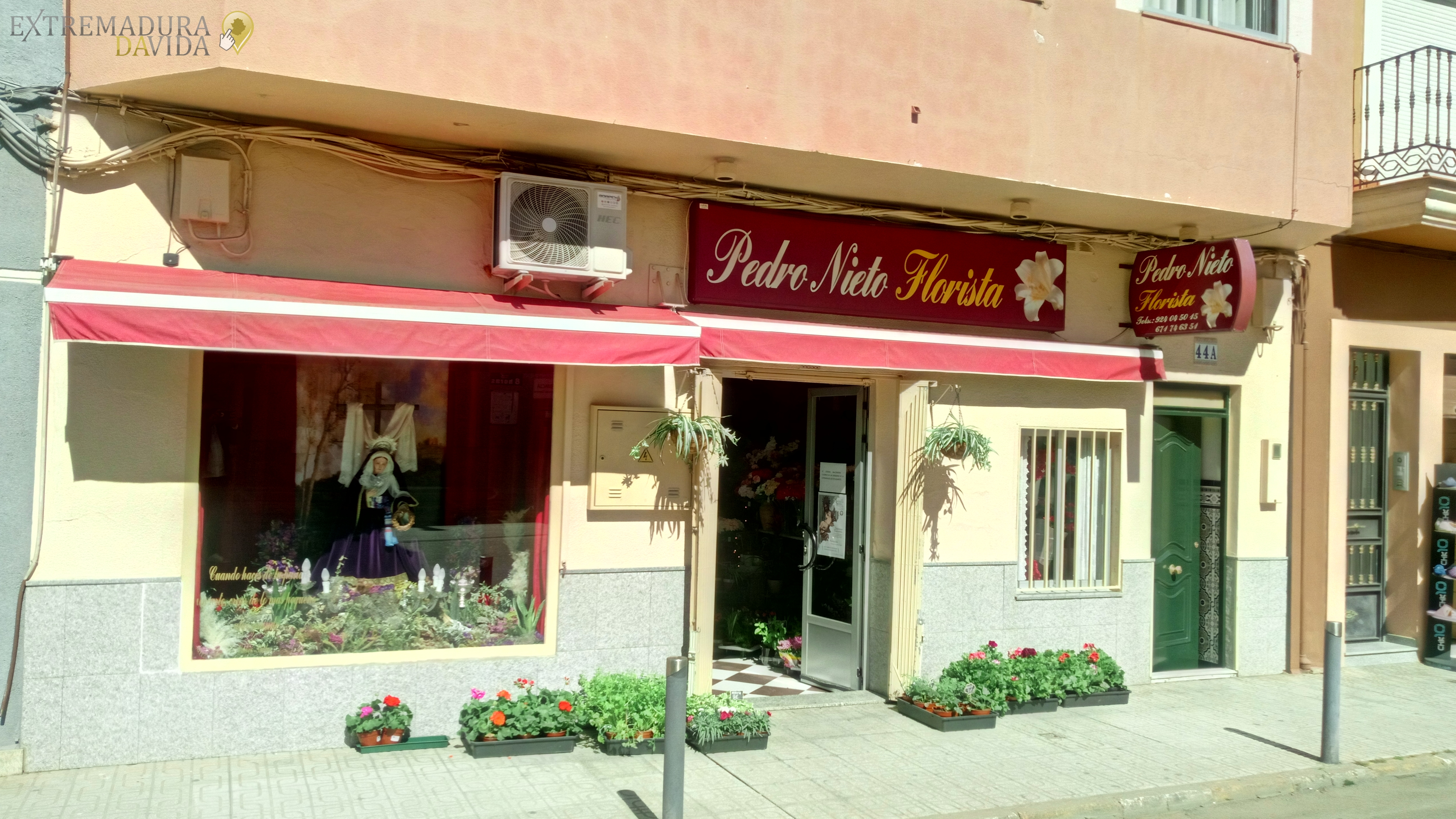 La mejor floristería de Almendralejo Pedro Nieto 