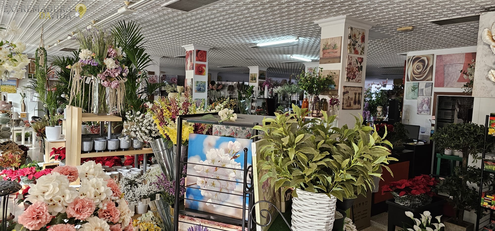 La mejor tienda de decoración de Almendralejo Floristería Lis