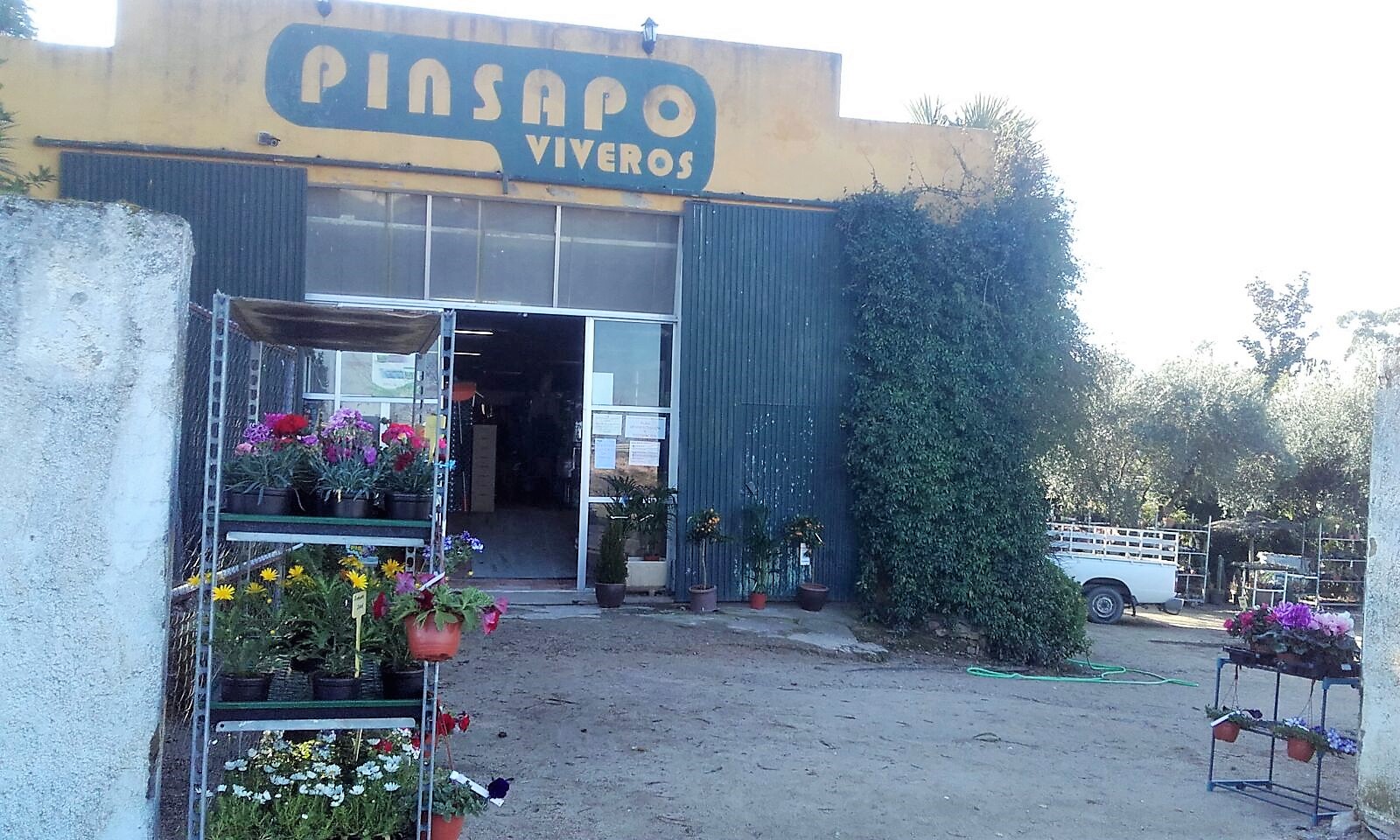 vivero Cáceres Pinsapo -Malpartida de Cáceres