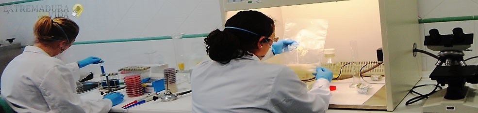Erradicación de plagas en Extremadura Centro Veterinario El Castellar