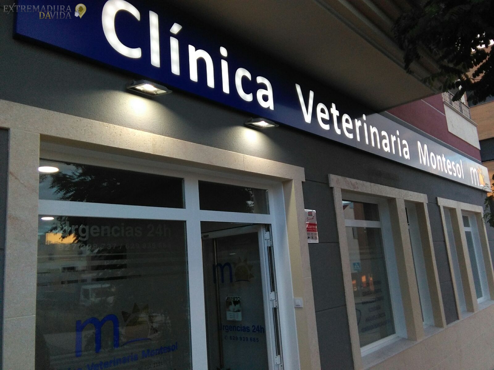 Clínica veterinaria 24 horas Cáceres Montesol 