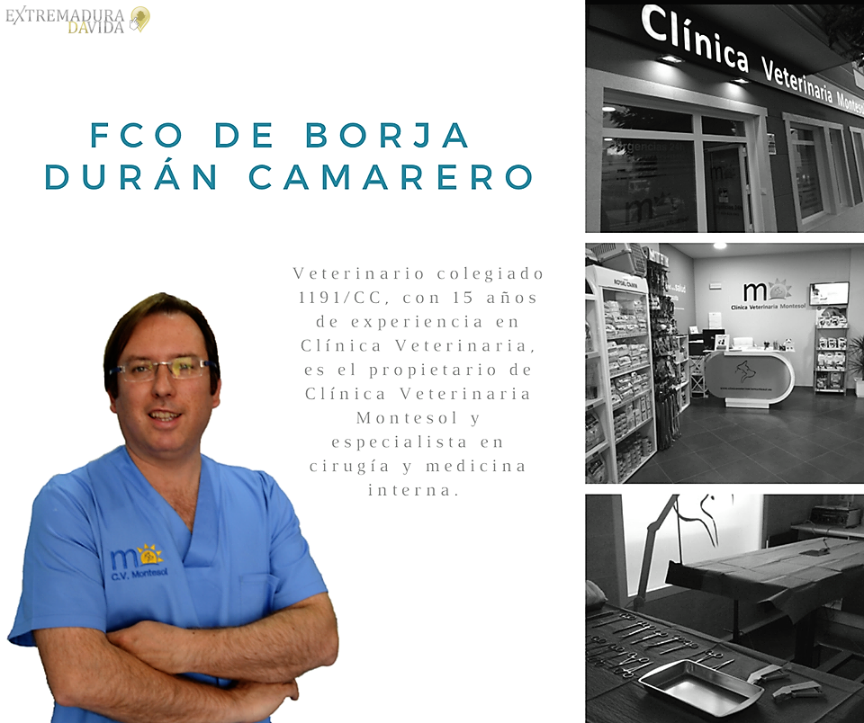 Clínica veterinaria 24 horas Cáceres Montesol