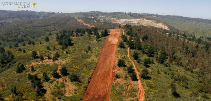 Reforestación Cáceres Plasencia Buenaventura La Vera