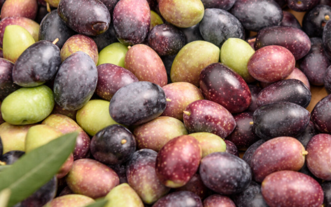 Puesto de aceitunas en Zarza de Montánchez , Albala , Torre de Santa María , Alcuescar ,Almoharin , Miajadas