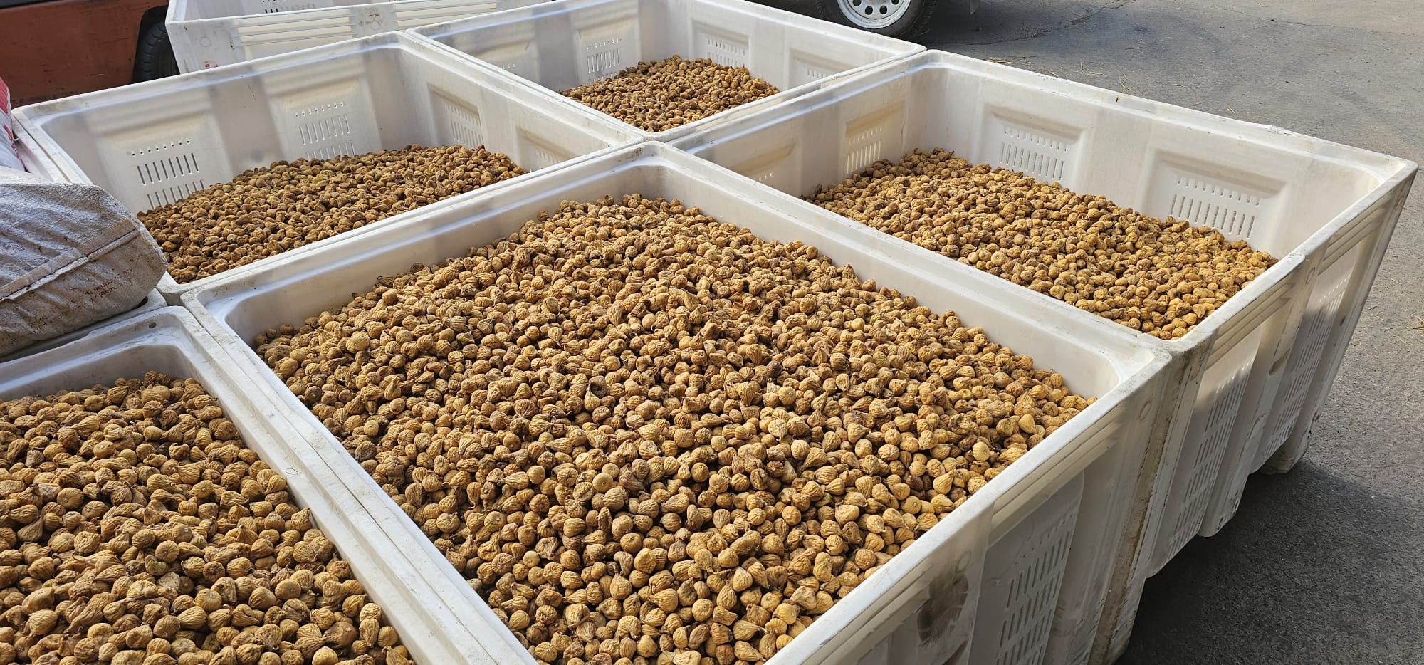 Comprar higos en Cáceres Montánchez Alcuescar Almoharin Zarza de Montánchez