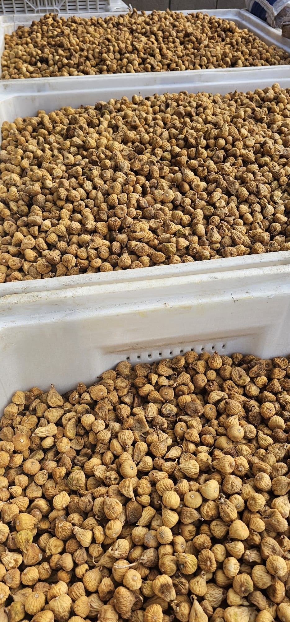 Comprar higos en Cáceres Montánchez Alcuescar Almoharin Zarza de Montánchez