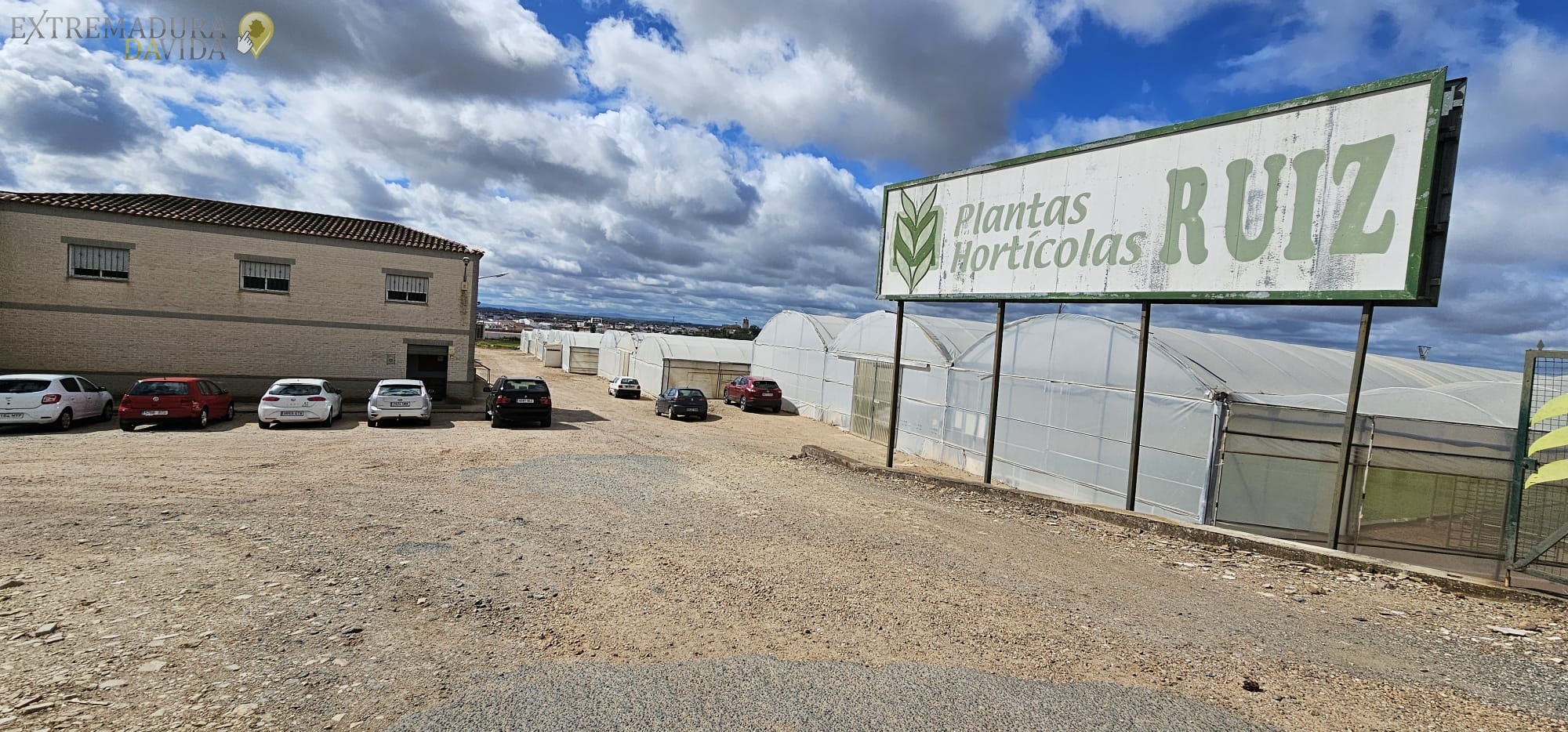 Productores de plantones en Extremadura España Semilleros en Montijo Ruiz
