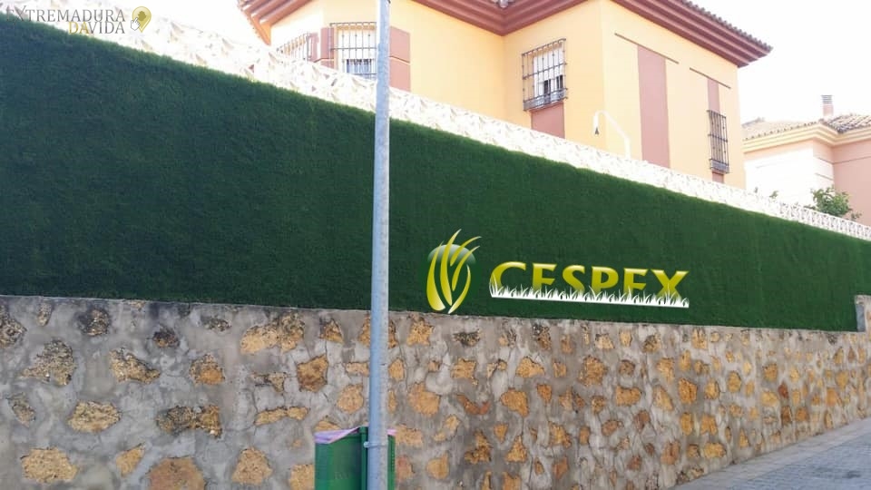 Cesped Artificial para muros en Mérida Cespex