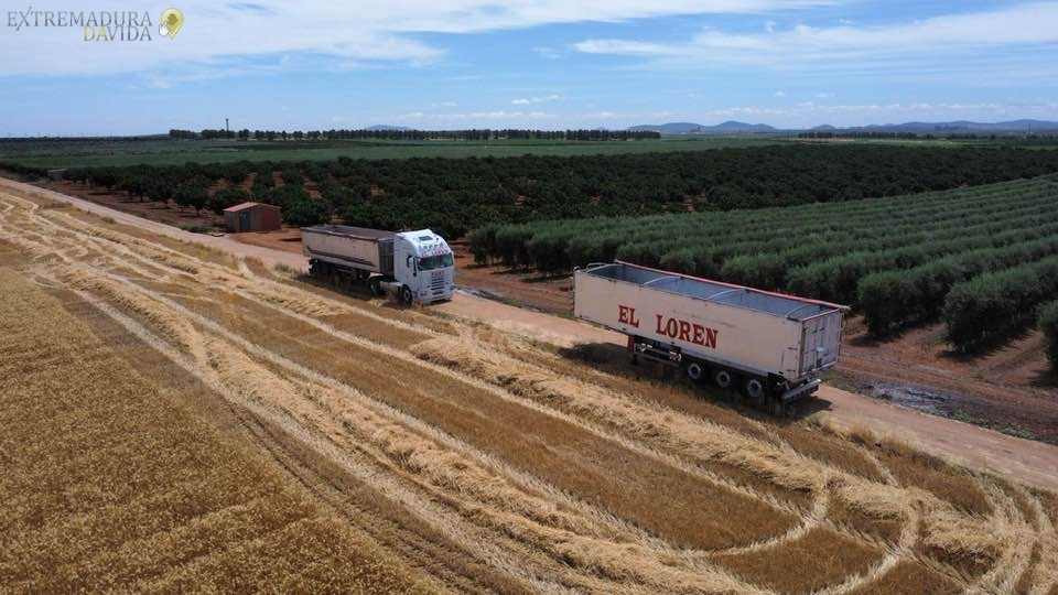 Transportes agrícolas Cereales aceitunas frutas piensos paja El Loren Mérida