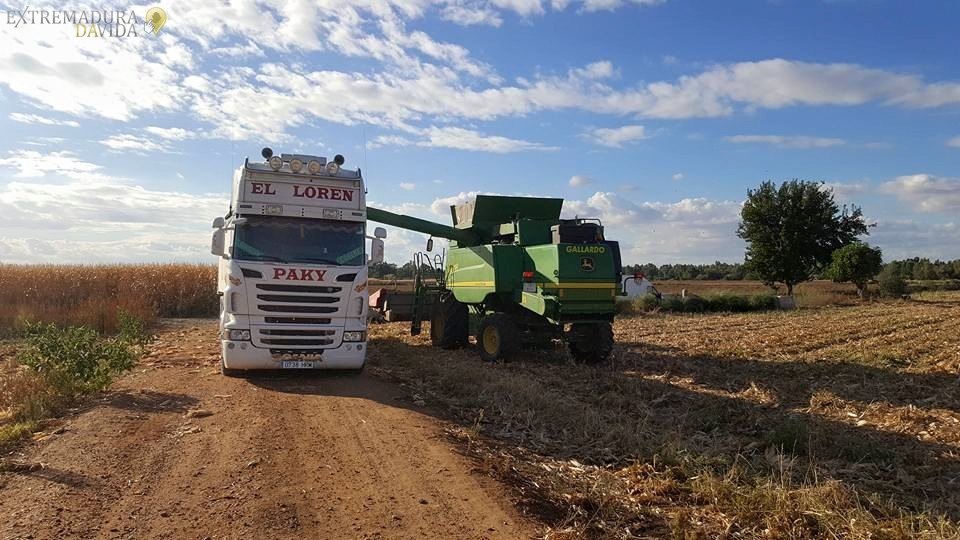Transportes agrícolas Cereales aceitunas frutas piensos paja El Loren Mérida