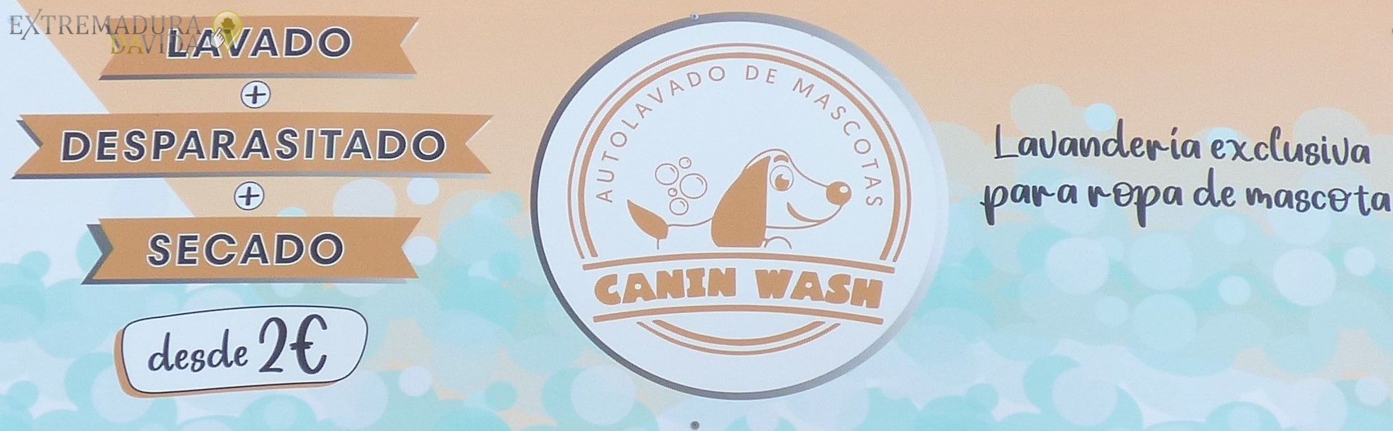Autolavado Lavadero de Mascotas Perros en Mérida Canin Wash