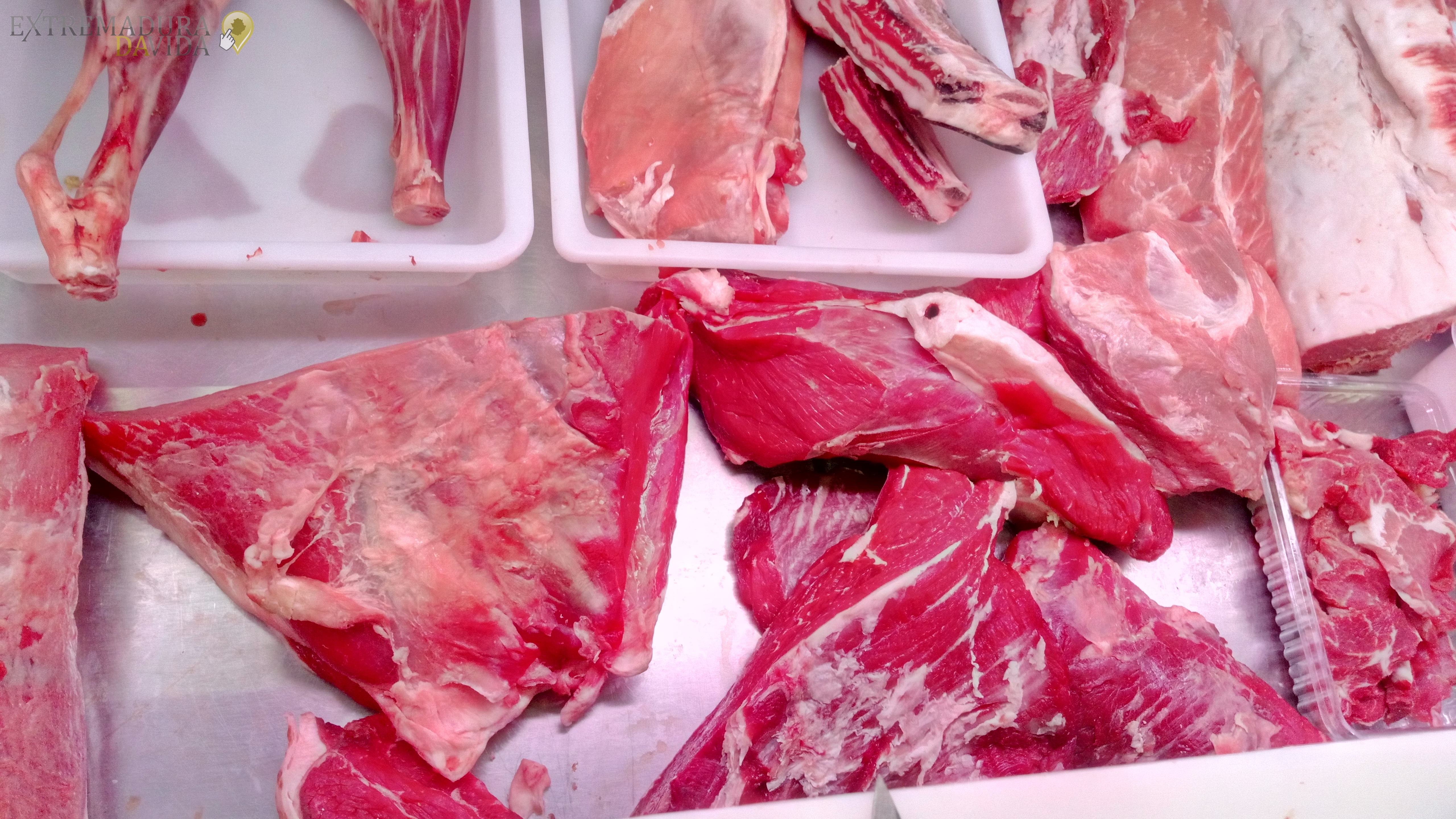 Distribuidor de carnes de primera en Extremadura Cáceres Badajoz Distribuciones Cargal Mérida Calamonte 