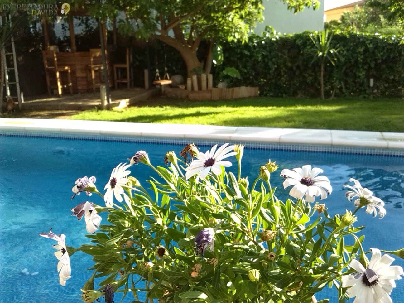 Para alquilar para vacaciones en Almendralejo chalet o casa de lujo con piscina en Extremadura