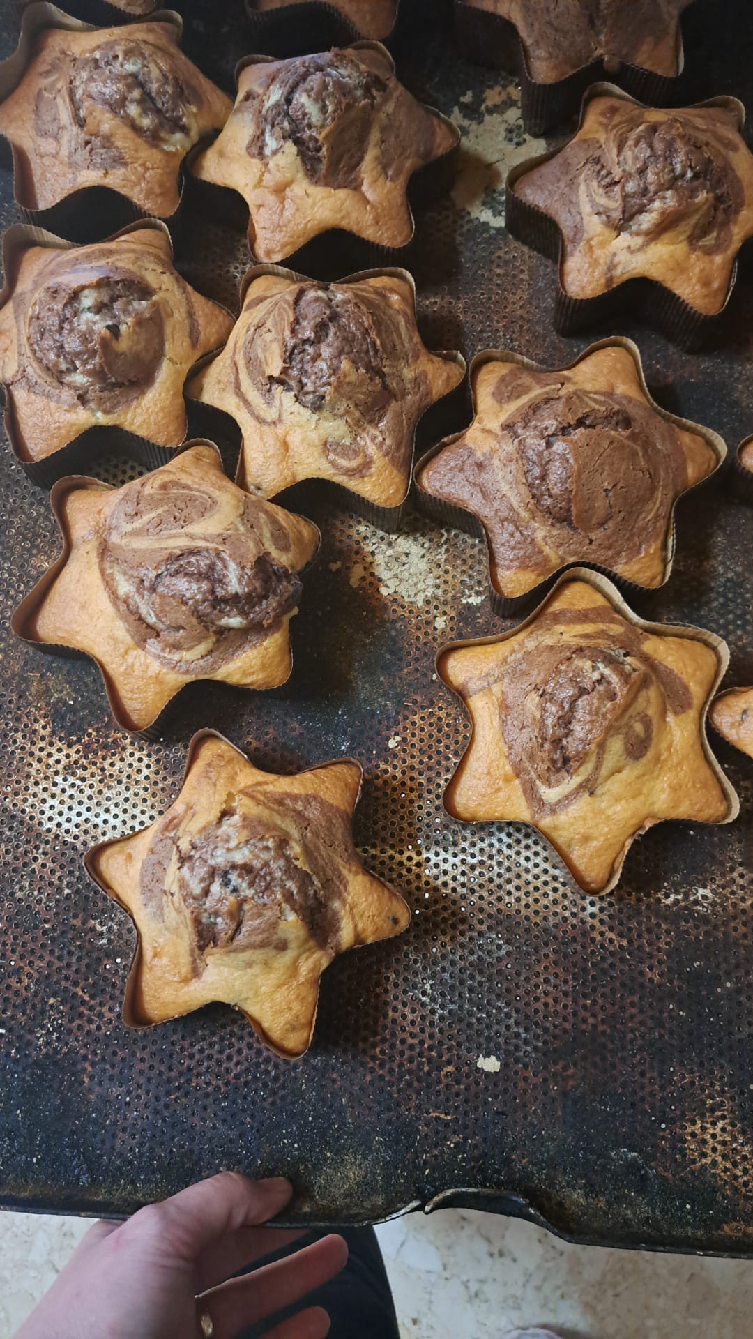 Comprar pasteles en Almoharin Miajadas Montanchez