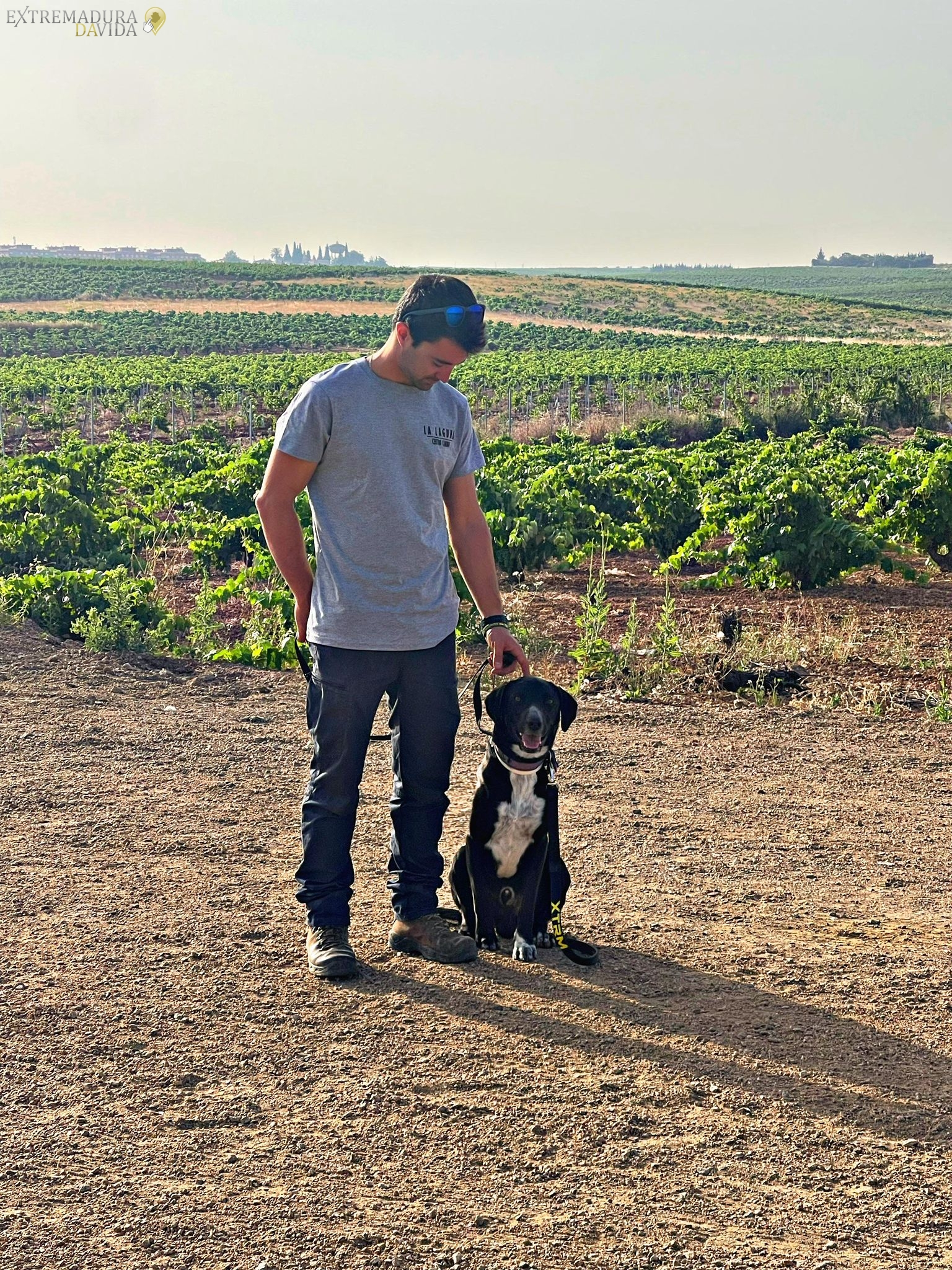 Residencia canina en Almendralejo Aceuchal Villafranca Adiestrador de perros La Laguna 