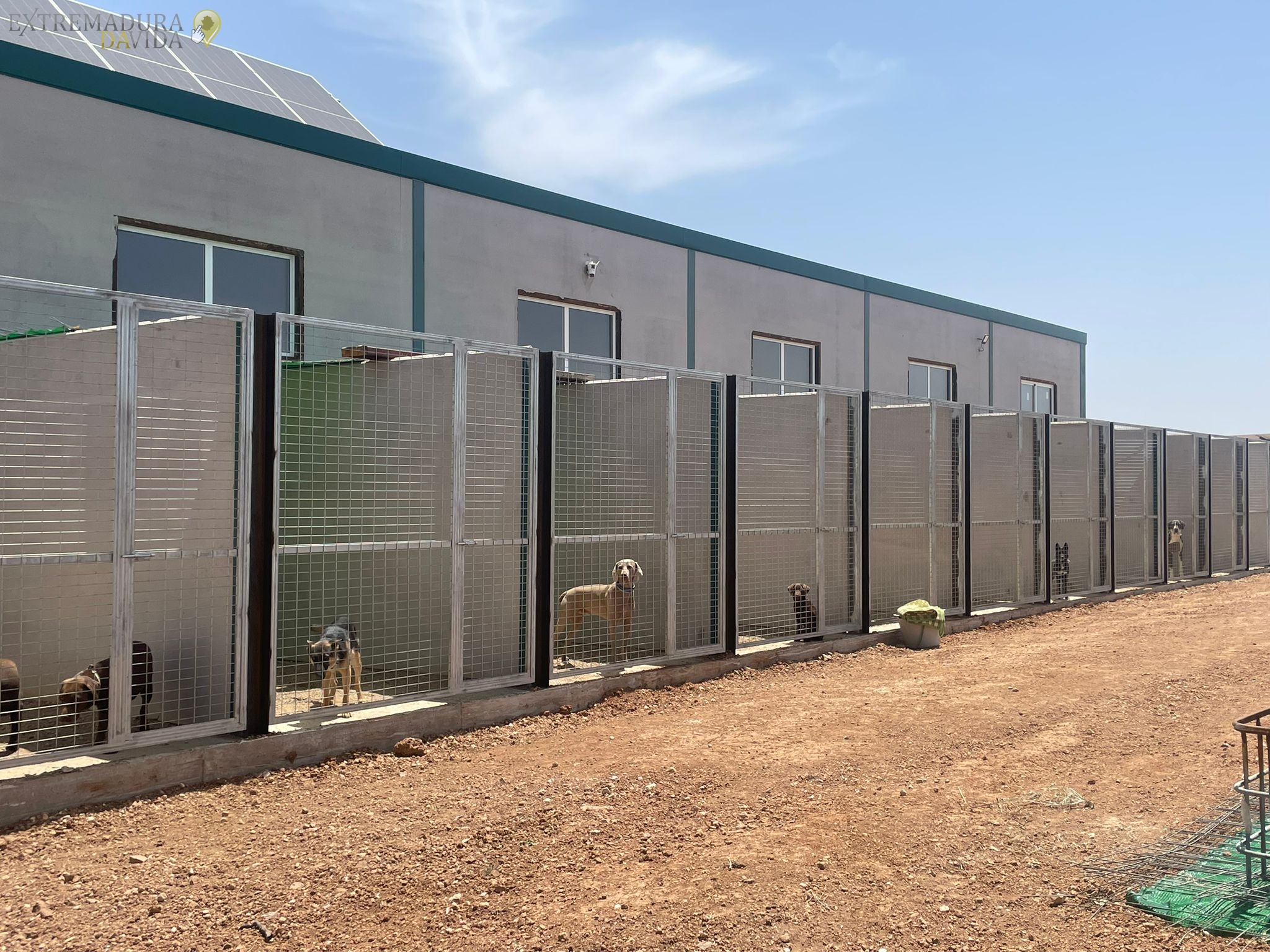 Residencia canina en Almendralejo Aceuchal Villafranca Adiestrador de perros La Laguna