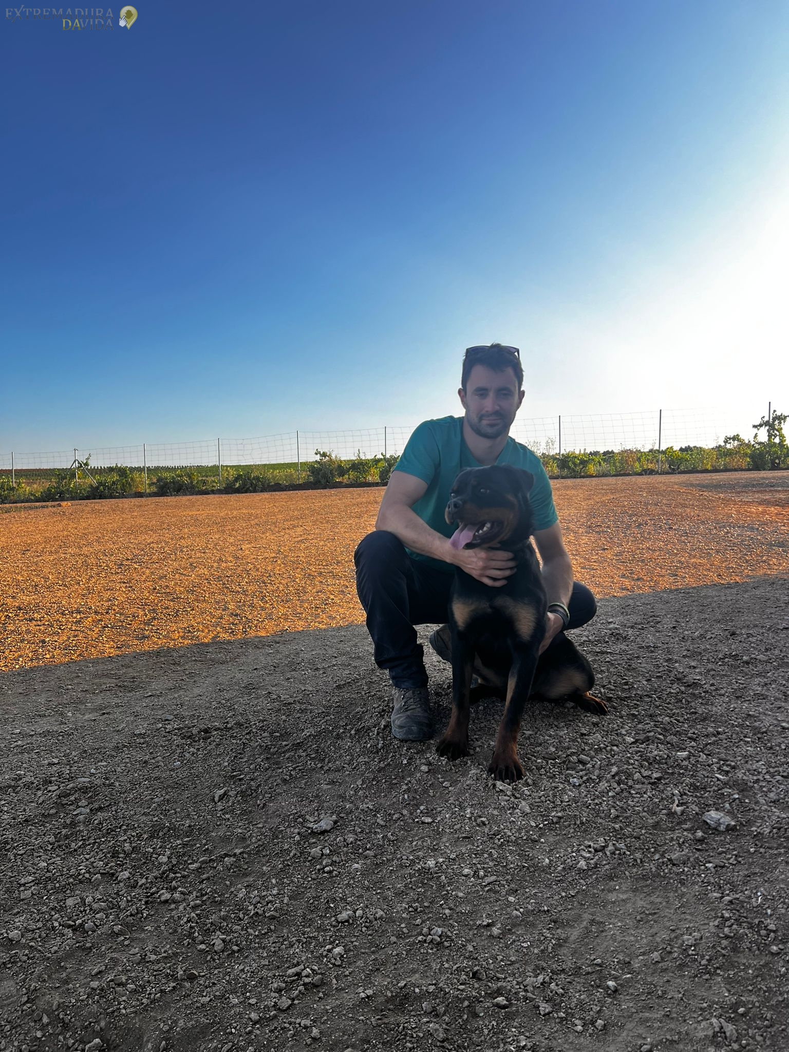 Residencia canina en Almendralejo Aceuchal Villafranca Adiestrador de perros La Laguna